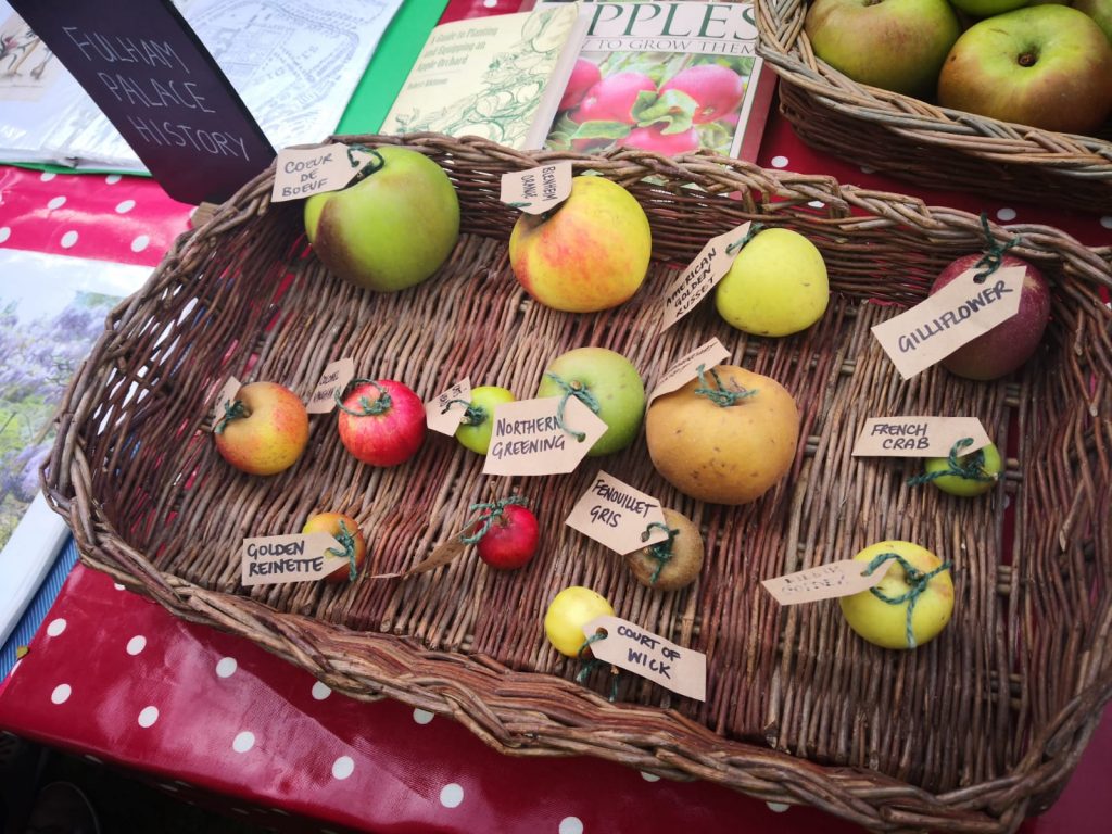 Apple Day at Fulham Palace