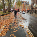 Newsletter November 2025